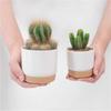 Cactus Garden Supply Succulent Plants Self Watering Flower Pot With Drainage Hole Orchid Pots Flower Containers Indoor