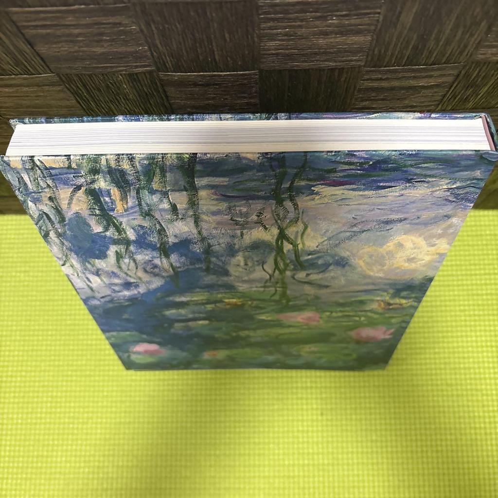 [USED] Monet's Water Lilies