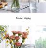 Extra Large Transparent Glass Vase for Hydroponic Bamboo & Fresh Flower Arrangements