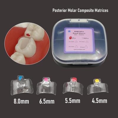 10 pz/ 20 pz/ 40 pz Matrici trasparenti dentali Bande trasparenti Matrici molari posteriori Composito Classe restaurativa 4.5/5.5/6.5/8.0 Adatto a Bioclear