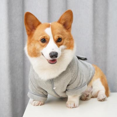 Giyim ve ayakkabı – Köpekler İçin Kapşonlu Kazaklar