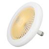 30W Light Fan 9.8in Small Aromatherapy Noiseless Ceiling Fan Light E27 LED Fan Light 86‑265V