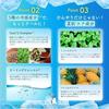 LuLuLun Premium Cooling Mask 1 Sheet 5 Bags Face Pack Skin Roughness Pores Summer