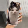Pet Cat Funny Memes Phone Case for Samsung Galaxy A17 A16 A37 A26 A36 A57 A56 A15 A25 A35 A55 A14 A24 A34 A54 A13 A23 A33 A53 Ga