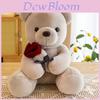 Soft And Cuddly White Teddy Bear Plush Toy Gift For Valentine's Day And Birthdays