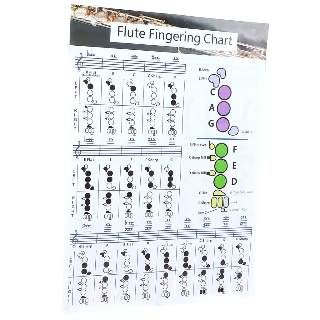Diagramma Accordi Dita Flauto Studente Principiante Ausili Didattici per la Pratica Accessori Strumento