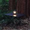ZISIZ Outdoor Portable Folding Egg Roll Picnic Table