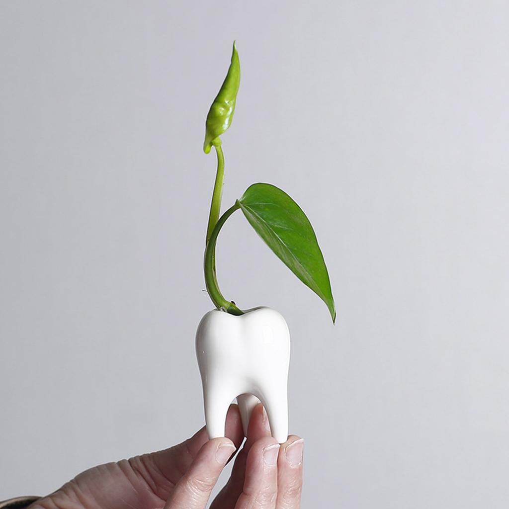 Ceramic Fleshy Plant Pot Tooth Planter Plant Flowerpot Ornament for Fleshy Plant Cactuses Container for Home Balcony
