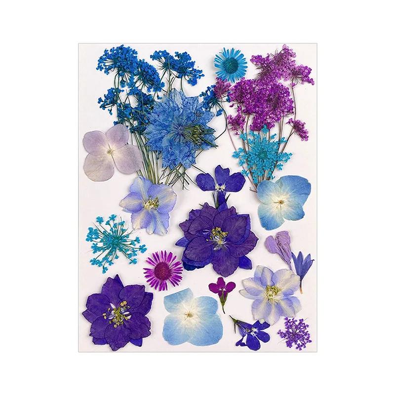 20PCS Set Pressed Dried Flowers for Resin Jewelry Making Fillings Real Natural Plant Flowers for Nail Art Decorations