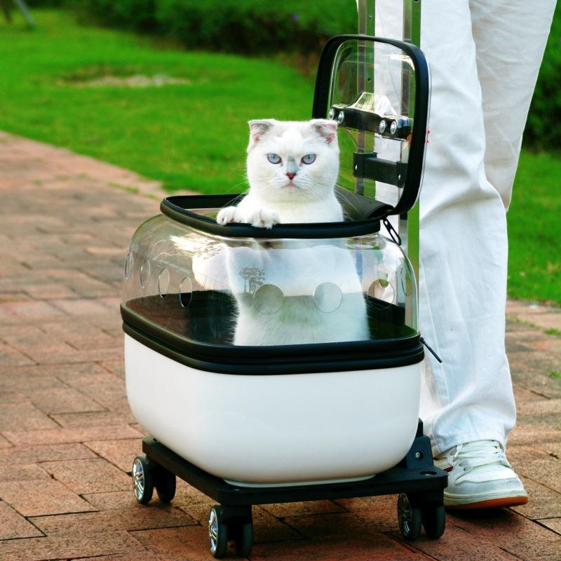 Double Layer Outdoor Cat Trolley Bag Wheels Carrier Transparent Cats Strollers 2 Cats Cheap Breathable Pet Supplies Portable