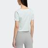 adidas Originals T Shirt Women's Symbol Green HR6911