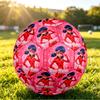 Individueller Name Text Größe 5 Fußball, Miraculous Ladybug Standard Trainingsfußball
