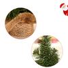 20cm/30cm Mini Green Christmas Tree DIY Decorative Tree Home Decoration Desktop Decoration