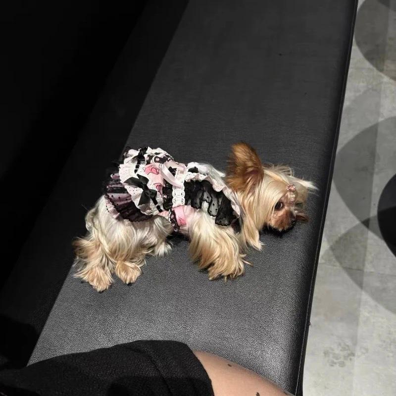 Spring/Summer Dog Cat Sweet Dress Princess Dress Yorkshire Maltese Small Dog Summer Dress