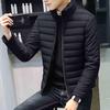 Men's Solid Color Warm Waterproof Windproof Down Cotton Coat