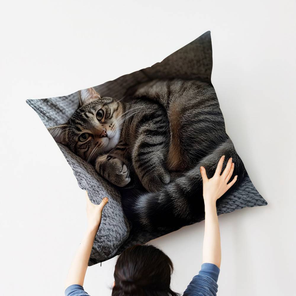 Cat Cute Kitten Stitch Lucky Dragon pillow cover sofa cushion cover home room decoration children gift