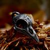 Vintage Unique Stainless Steel Viking Crow Skull Pendant Punk Mens Personalized Animal Necklaces Hip Hop Trend Jewelry Wholesale