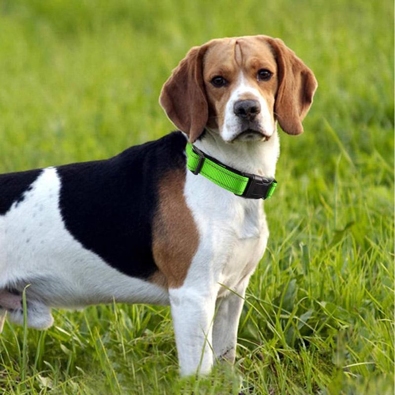 Reflective Dog Collar Sturdy Adjustable Pets Collar For Medium Large Dogs Soft Neoprene Padded Nylon for Medium Large Dogs