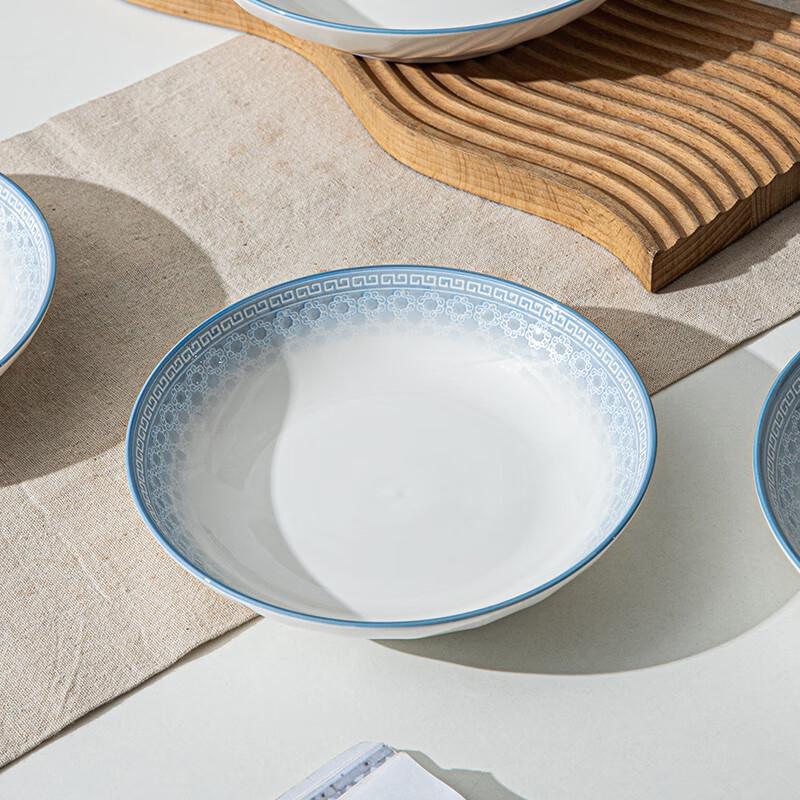 Lini'en Relief Underglaze Ceramic Dinner Plate Set