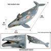 Marine Life Cognitive Toy Set: Sperm Whale, Shark, Bowhead Whale, Blue Whale
