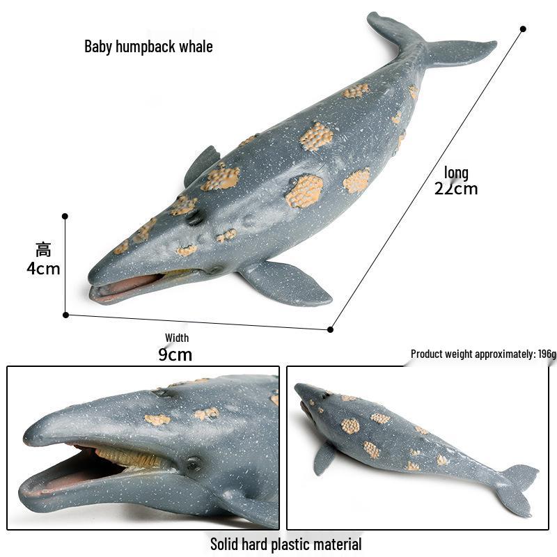 Marine Life Cognitive Toy Set: Sperm Whale, Shark, Bowhead Whale, Blue Whale