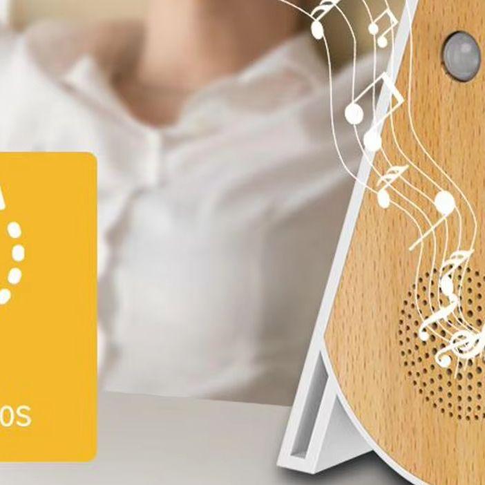 Triangular bird song music box Portable Chirping Sound Box Bedroom Motion Sensor home music tool for yoga studios spas