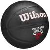 Wilson Childrens/Kids Team Tribute Chicago Bulls Mini Basketball