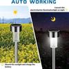 Solar Powered Waterproof Outdoor Lights, Garden Lamp, Landscape Path, Yard, Backyard, Lawn, Patio, Decorative