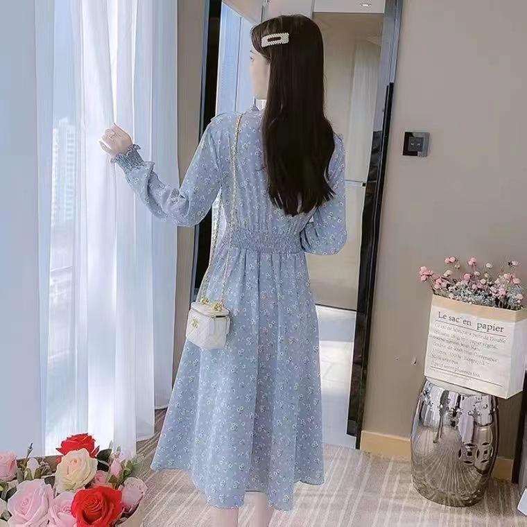 Beautiful Fashion Spring Autumn Women Long Sleeve Dress Retro Collar Casual Slim Dresses Floral Printing Chiffon Sexy