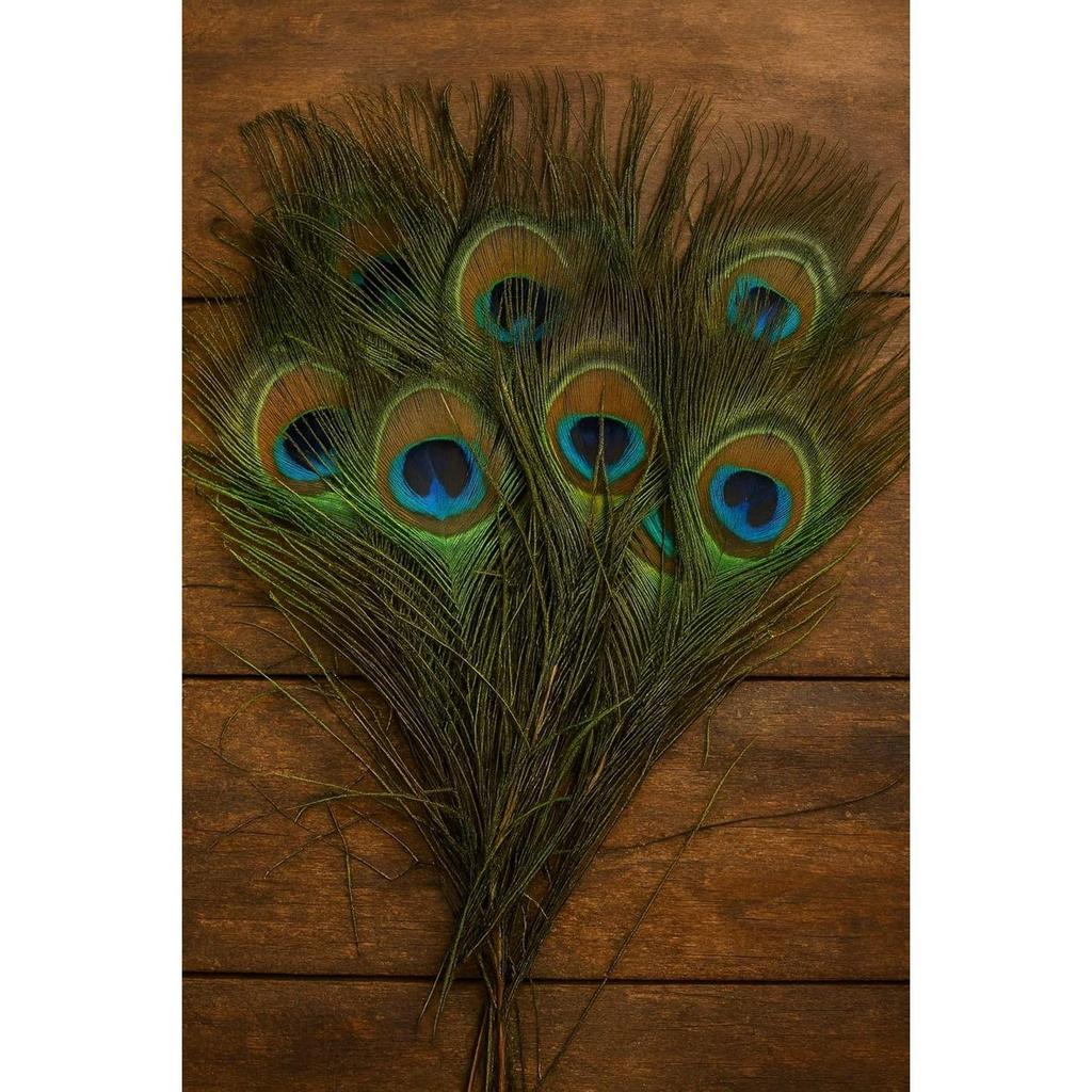 15 Pcs Real Peacock Feather Original Feathers morpankh for Craft Floral Flowers