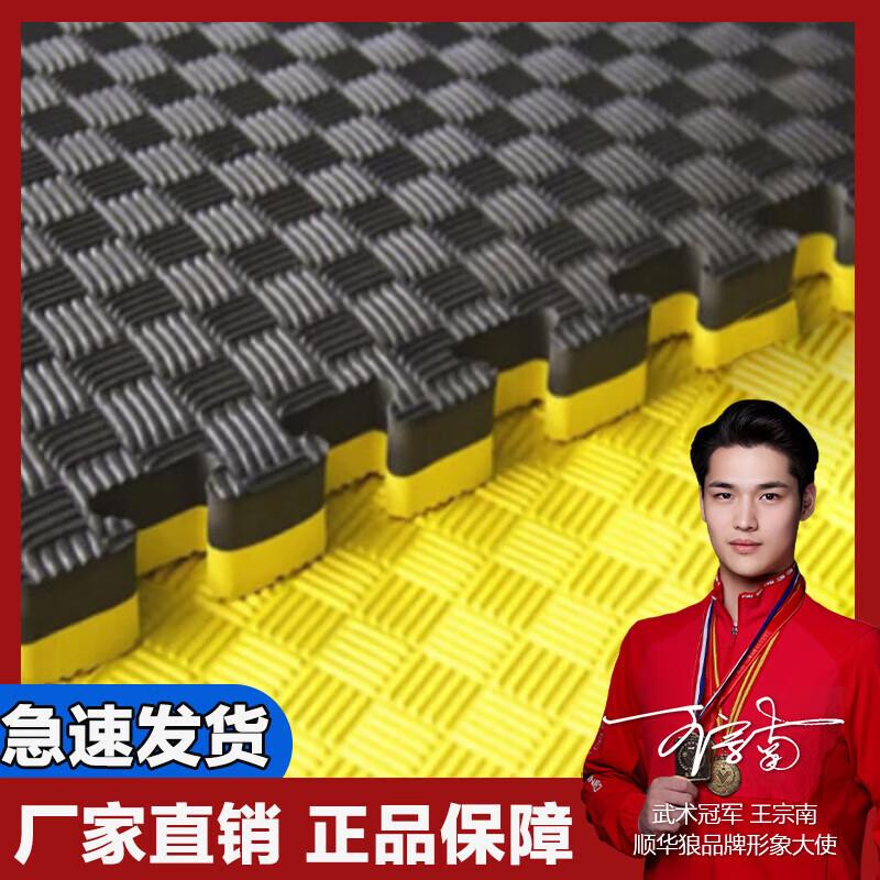 Shunhualang Interlocking Taekwondo & Training Mat