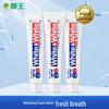Lion White Whitening Toothpaste 150g 3-Pack