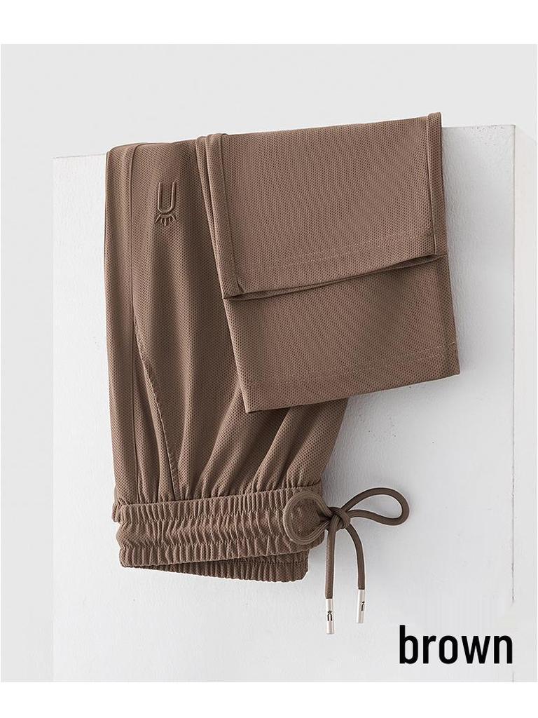 GAGN Plus Size Women's Ice Silk Straight-Leg Trousers - Lightweight Summer Pants for Middle-Aged Women