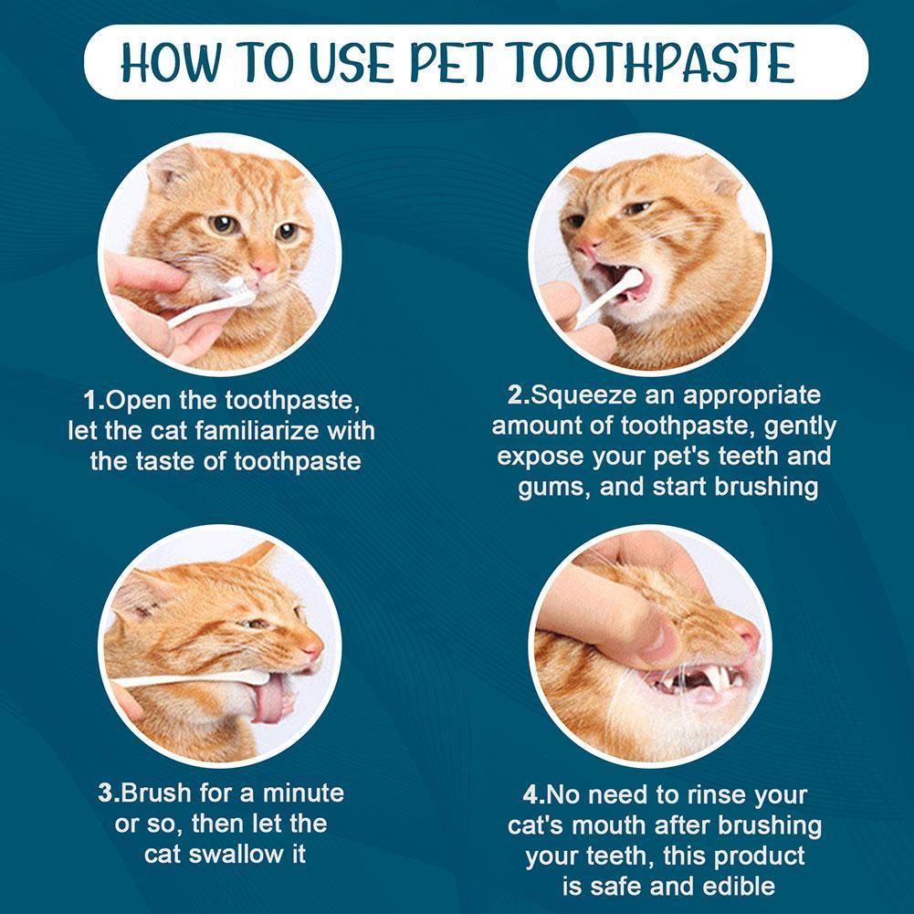 Buy ELAIMEI Pet Mint Toothpaste For Dogs & Cats P1F5 at affordable