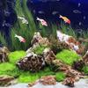 4pcs Mini Simulated Koi Fish Micro Landscape Goldfish Ornamental Fish Landscaping Ornaments For Aquarium Home Decorations