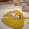 Modern Leaf Pet Pad Aesthetic Dog Cat Sleeping Mat Soft Thick Washable Comfortable Crate Mat for Stylish Home Decor Floor Bed
