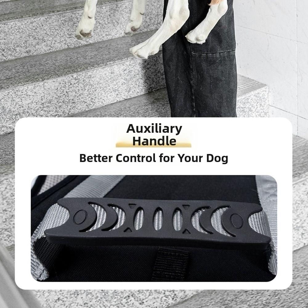 Adjustable Large Dog Lift Harness Reflective Support Recovery Sling Dog Sling Carrier Travel