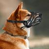 Köpek – Eğitim ve Öğretim Araçları