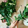 50 Pezzi Tubo Porta Fiori Tubo Acqua Fiale Floreali Rose Tubi di Plastica Singoli Per Fiori Articoli per Composizioni per Bambini