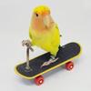 1pc Parrot Intelligence Toy Training Prop Skateboard Stand Finger Skateboard for Peony Parrot Pet Play Supply
