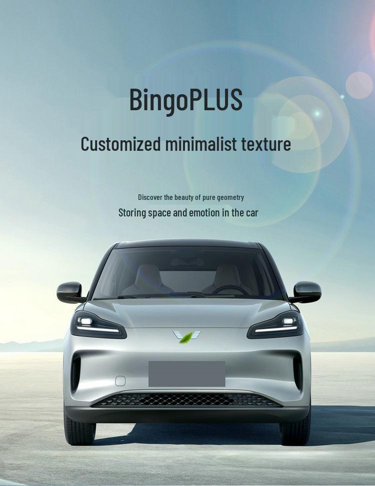Bingo PLUS Leather Car Seat Cushion - Universal, New Model for All Seasons, Fits Special Cars, 5-Seat