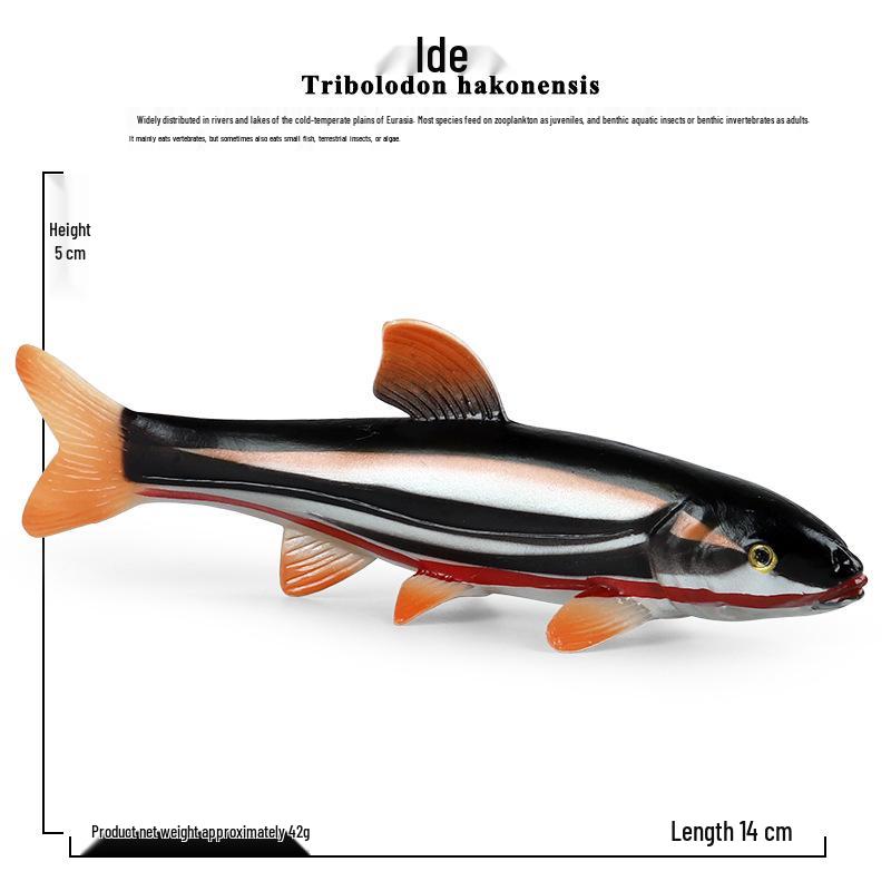 Children's Marine Animal Toy Set: Megalodon, Beluga, Octopus, Turtle, Dolphin & Manta Ray