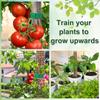 2/4/6Pcs Moss Pole Plastic Plant Pole Stick Reusable Transparent Plant Support Gardening Supplies Accessory for Climbing Plants