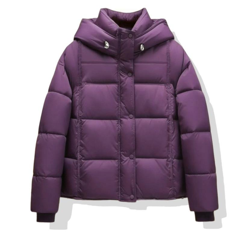 Nový Produkt Podzim a Zima Jednobarevná Pufovaná Krátká Mikina s Kapucí Volná Chlebníková Bunda Zesílená Teplá Bavlněná s Peřím