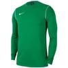 Park 20 Crew Top, Mens Green Compression Longsleeve