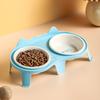 Elevated Ceramic Cat Bowl Set High Foot Dog Food Water Feeder Non Spill Pet Supplies KTY