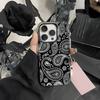 Luxury Paisley Design Phone Case For iPhone 16 15 14 13 12 11 Pro Max Grey Black Matte Laser Metallic Aurora Funda