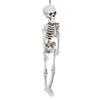 Halloween Resin Full Body Skeletons with Movable Joints for Home Costume Party Decoration Props