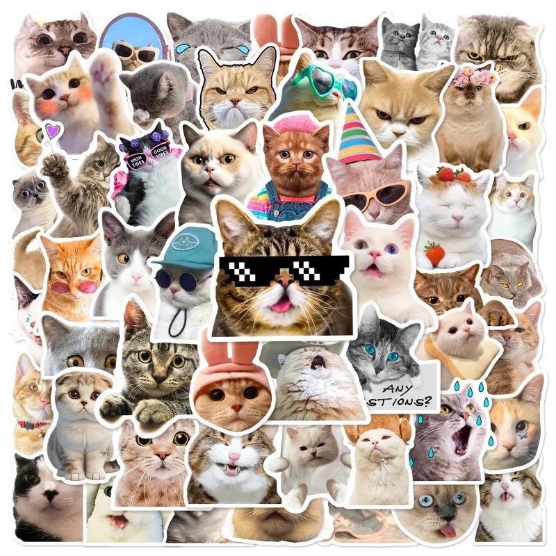 50PCS New Cute Cat Memes Motorbike Helmet Stickers Lovely Cats Waterproof Rear Trunk Sticker Motorcycle Body Scratch Cover Decal