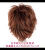 CaseEden Cosplay Premium Smooth Short 30cm Brown WIG5551 Wig, Hair,